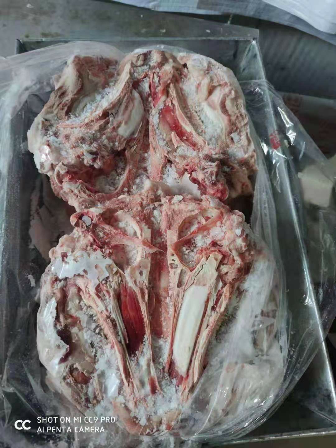 猪头  国产肥猪带耳头