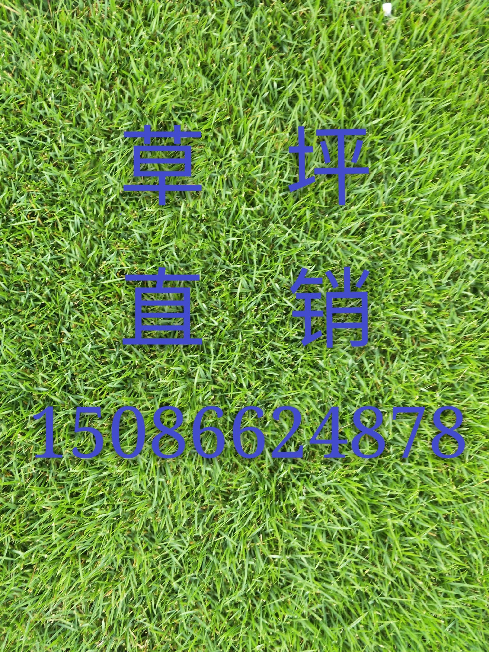 草  二号草坪手工方块