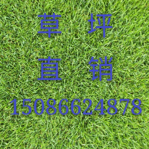 青神县草  二号草坪手工方块