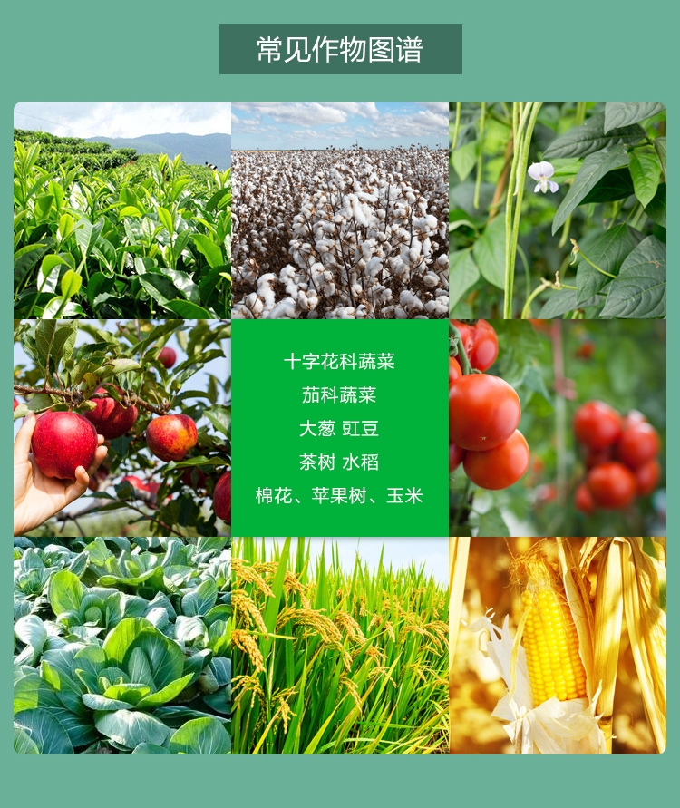 12%甲维盐虫螨腈菜青虫棉铃虫玉米螟钻心虫草地贪夜蛾蔬菜果树
