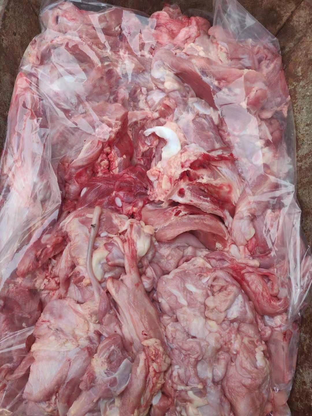牛肉类  厂家直销乳牛肉，一手货源，欢迎选购。