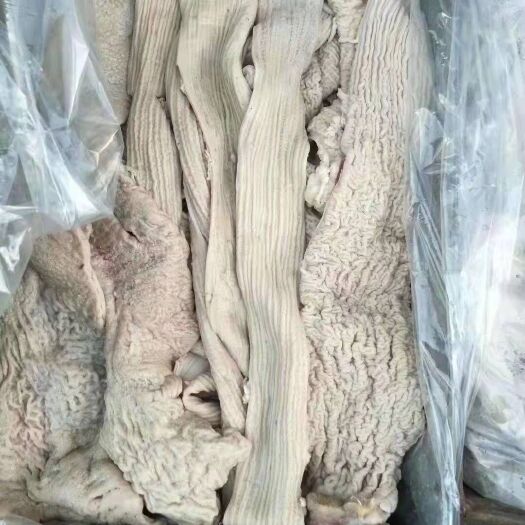 阳信县牛肠  厂家直销半成品牛大肠，一手货源，欢迎选购。