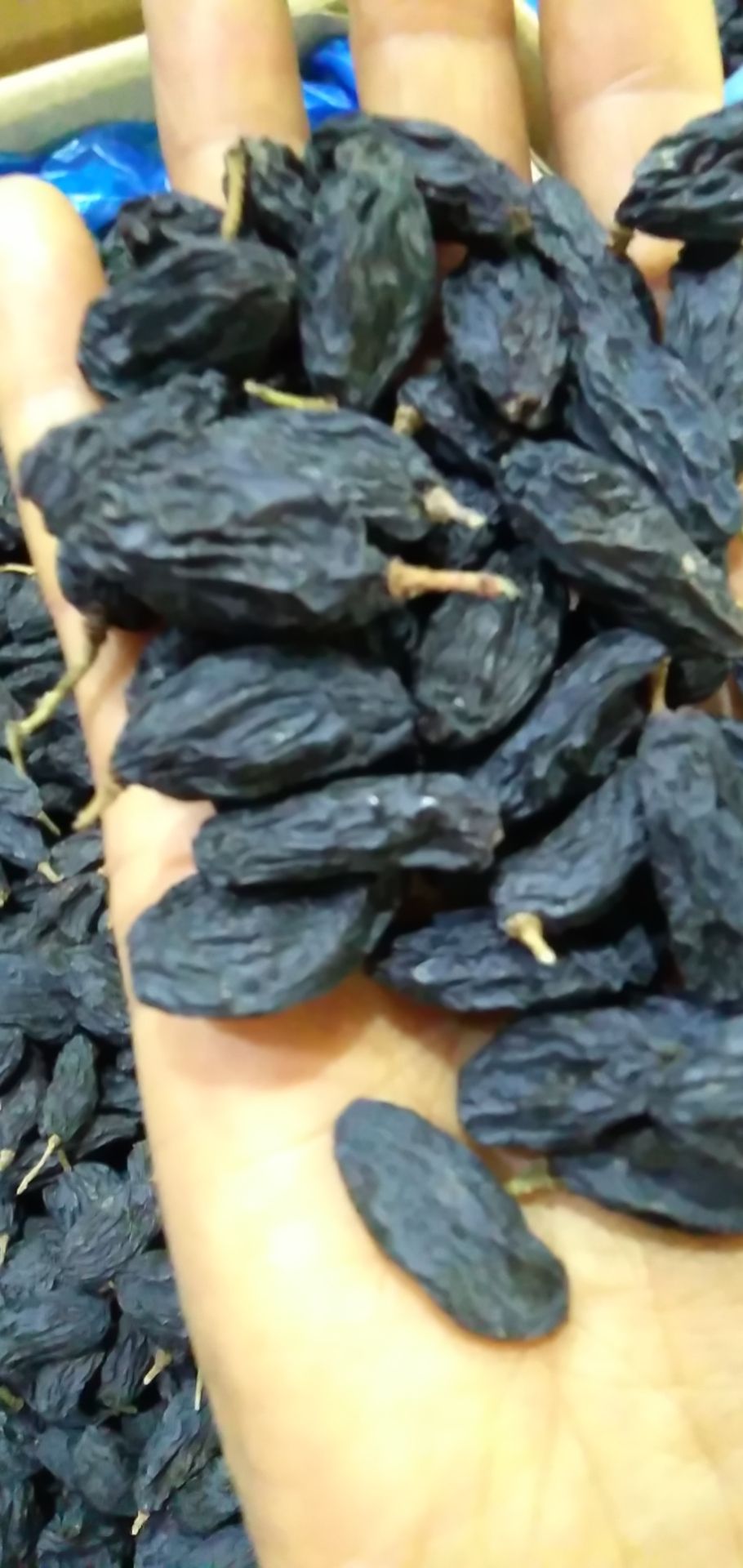 【好货推荐】黑加仑葡萄干，新疆黑加仑葡萄干