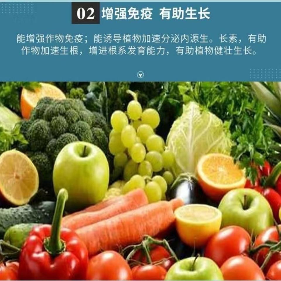 磷肥  解淀粉芽孢杆菌 改良土壤 增进肥力 有助生长