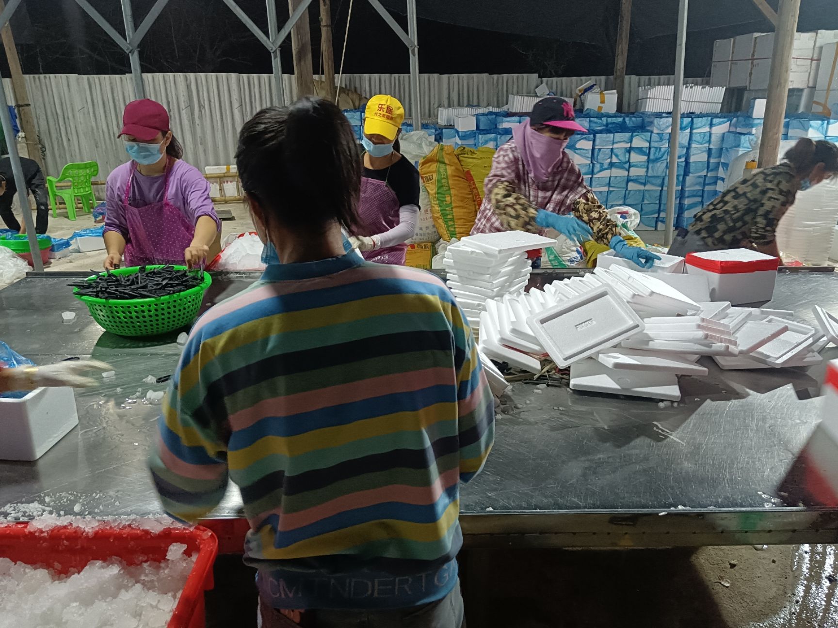 牡蛎  【精品】福建蚝三斤小包装大量供应货源质优价廉欢迎电联量大从优