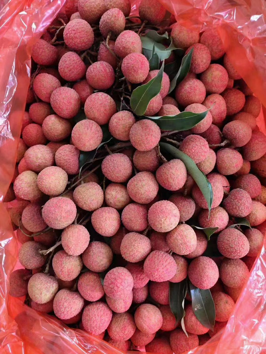 送礼（10斤/箱）白糖罂荔枝