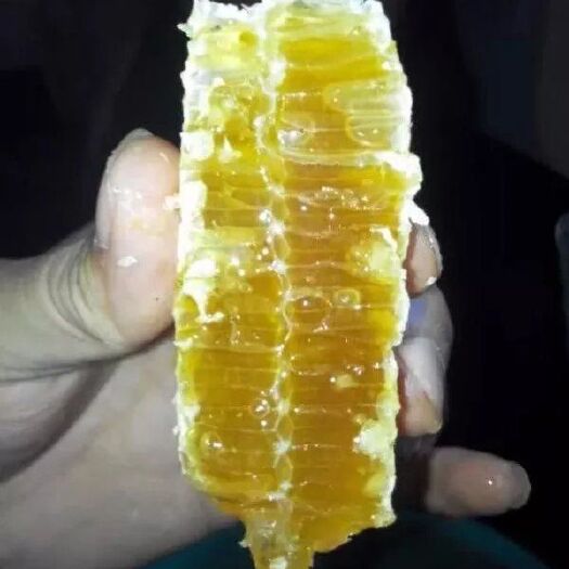 镇巴县 镇巴土蜂蜜