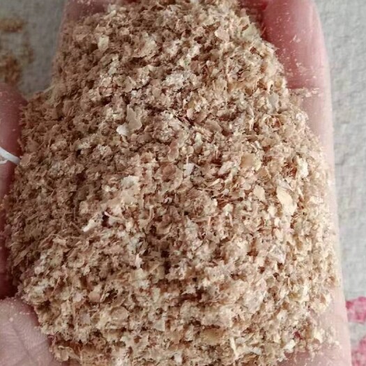 正定县麦麸  大量供应金沙河五得利益海纯麸皮