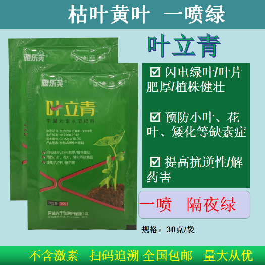 荥阳市叶面肥  一夜绿一喷绿 黄叶黄化弱苗不生根 抗逆解害