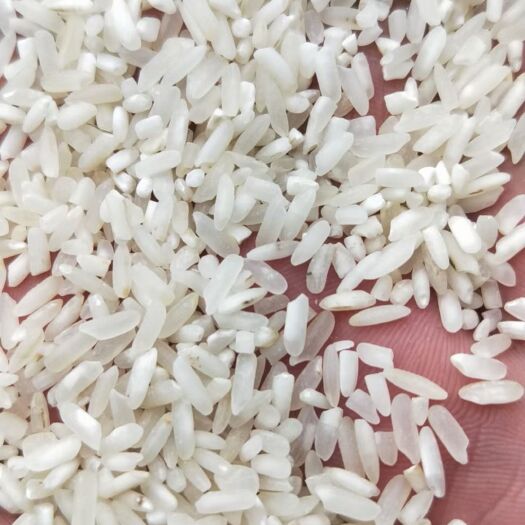 监利市四选黄米大量有货，副产品销路好，需要货要提前预约预定才能排单
