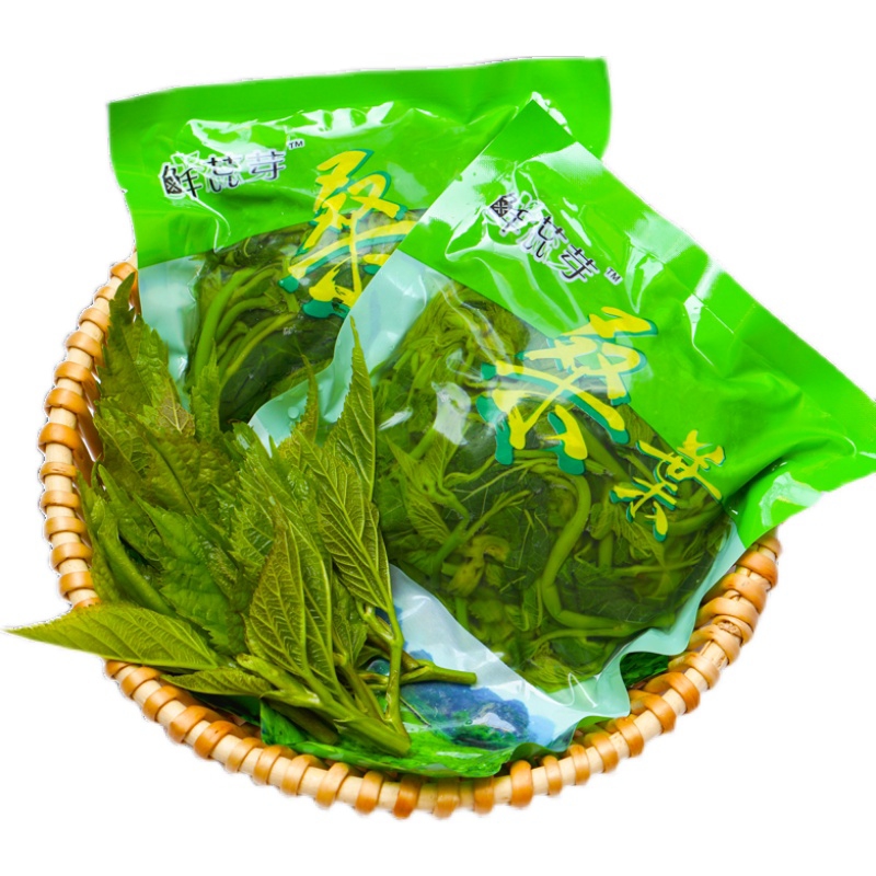 桑芽菜桑叶菜冰鲜桑芽