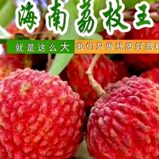 定安县海南自家荔枝王一件代发