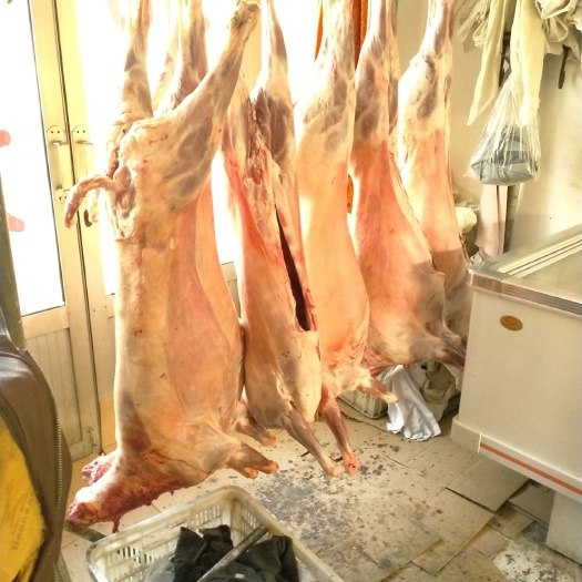 天津羊腿肉  新鲜的羔羊肉！包邮京东物流！