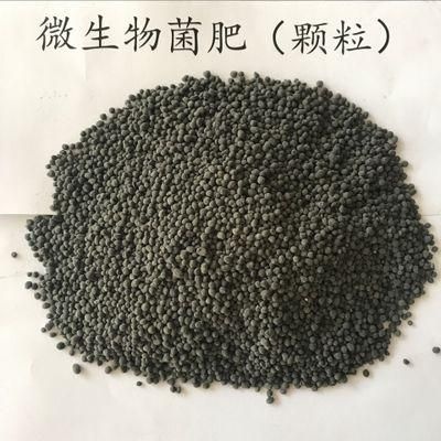 曲靖复混肥  微生物菌肥