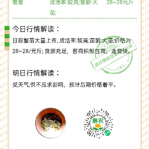 蟹苗销售大蟹销售