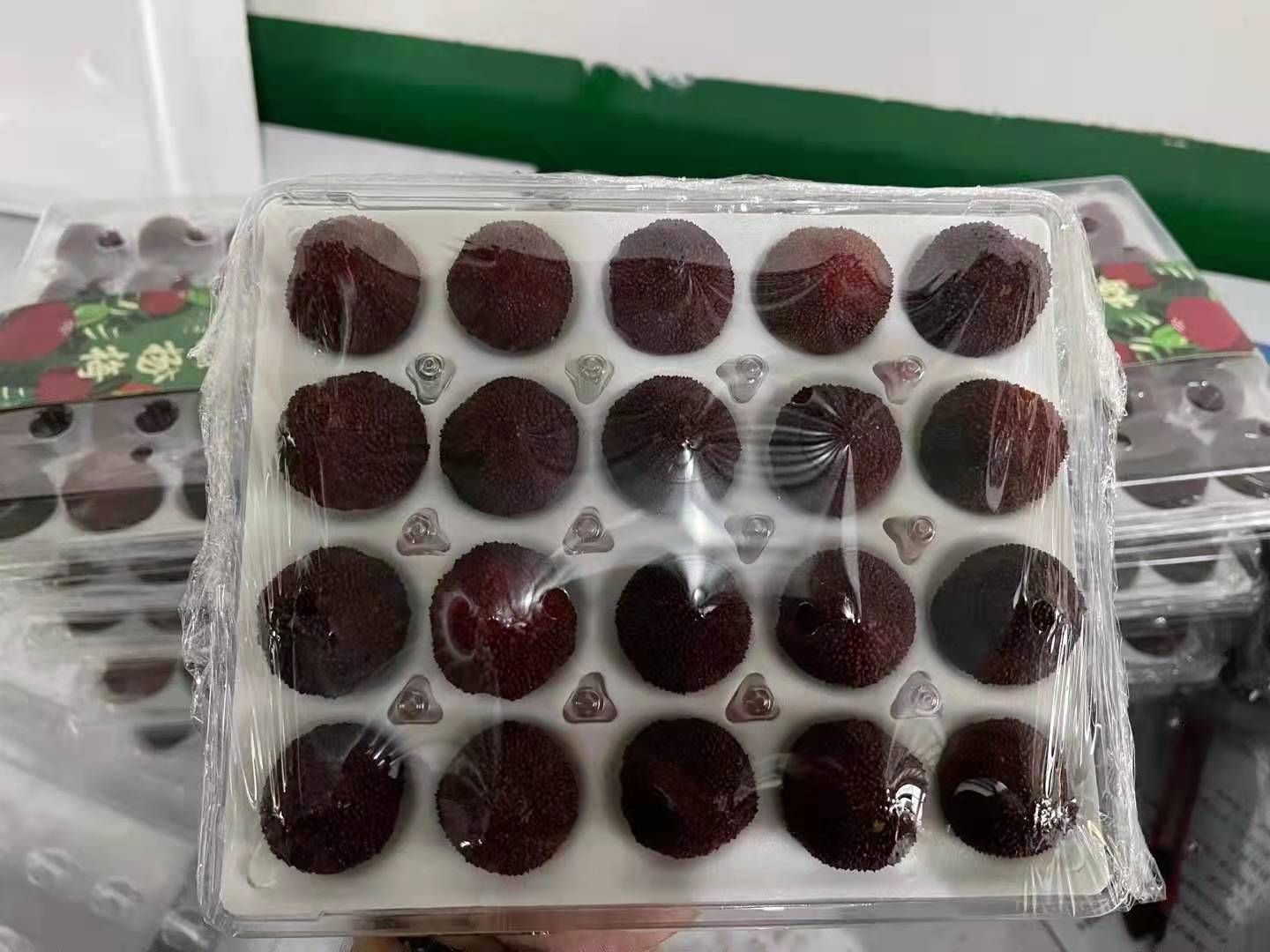  云南石屏东魁杨梅现摘现发一件代发工厂
