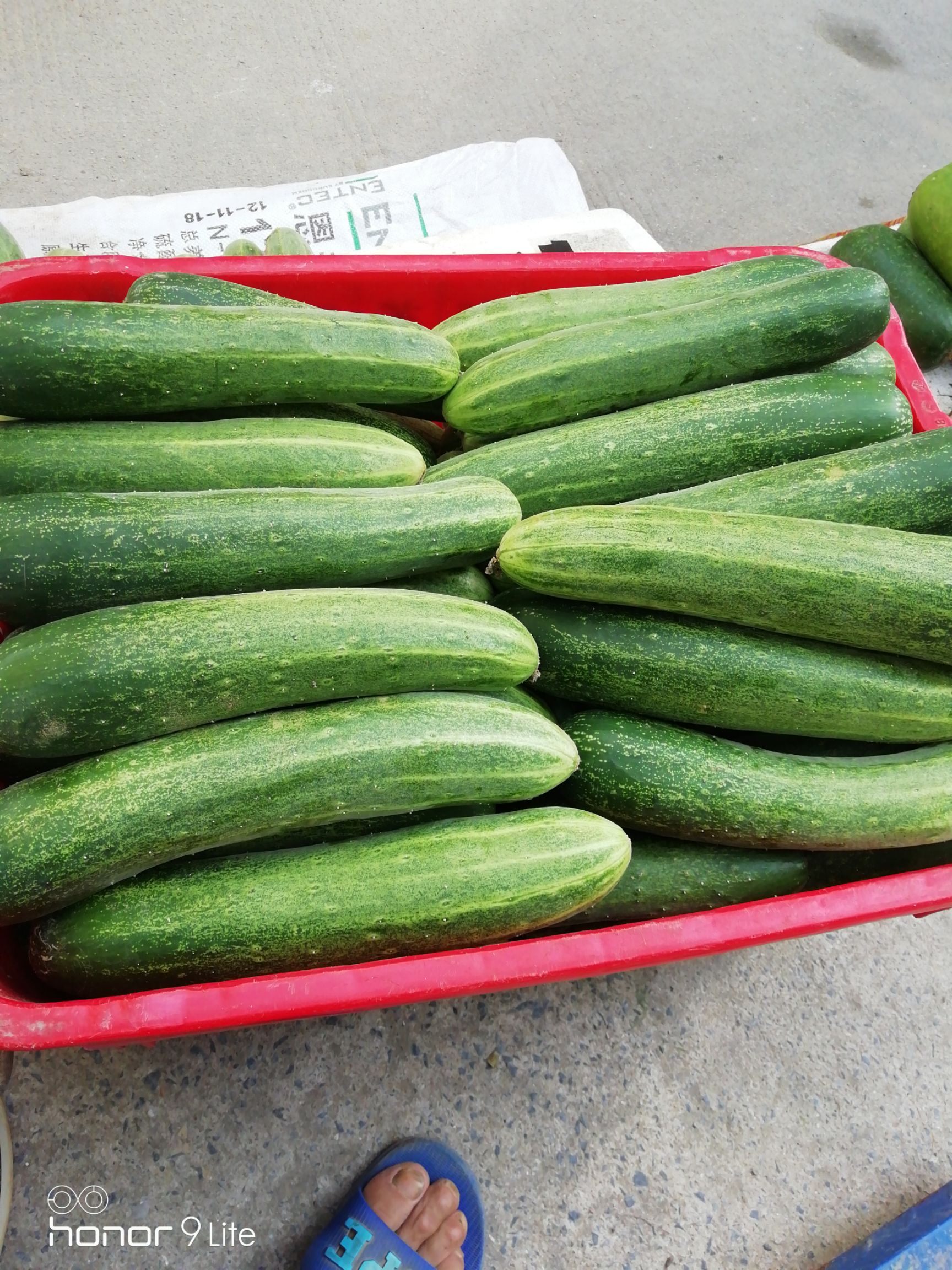 有机蔬菜,水果黄瓜