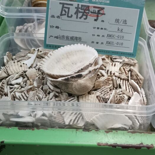 亳州蛤壳 瓦楞子大货