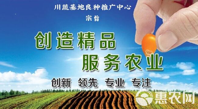 烧烤茄种子茄子种子30公分长粗8公分黑亮型