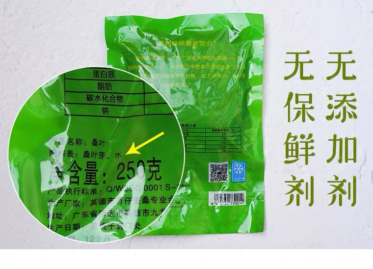 桑芽菜桑叶菜冰鲜桑芽