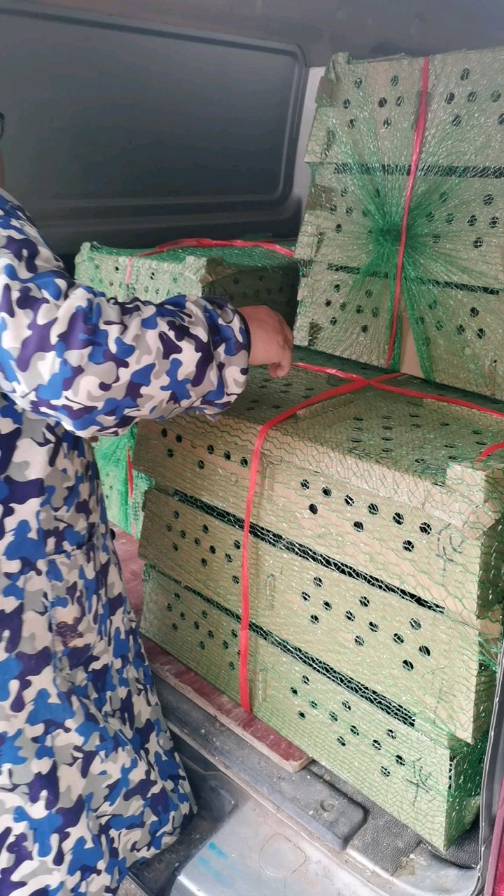 山鸡苗孵化场直供七彩鸡苗，疫苗到位全国发货包路损