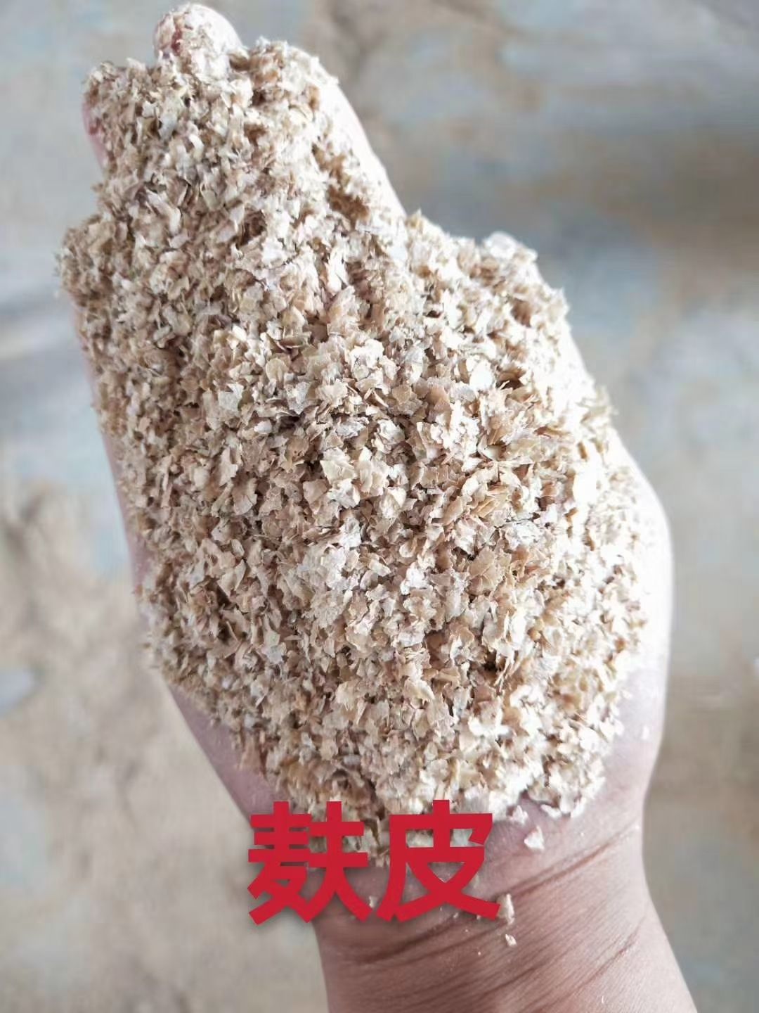 麦麸  优质大片麸皮，混麸，细麸