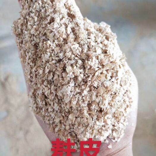 正定县麦麸  优质大片麸皮，混麸，细麸
