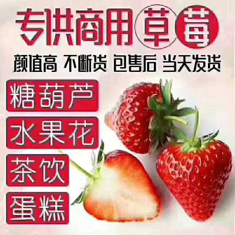 蒙特瑞草莓 云南会泽基地夏草莓2023年4月29日正式接单。