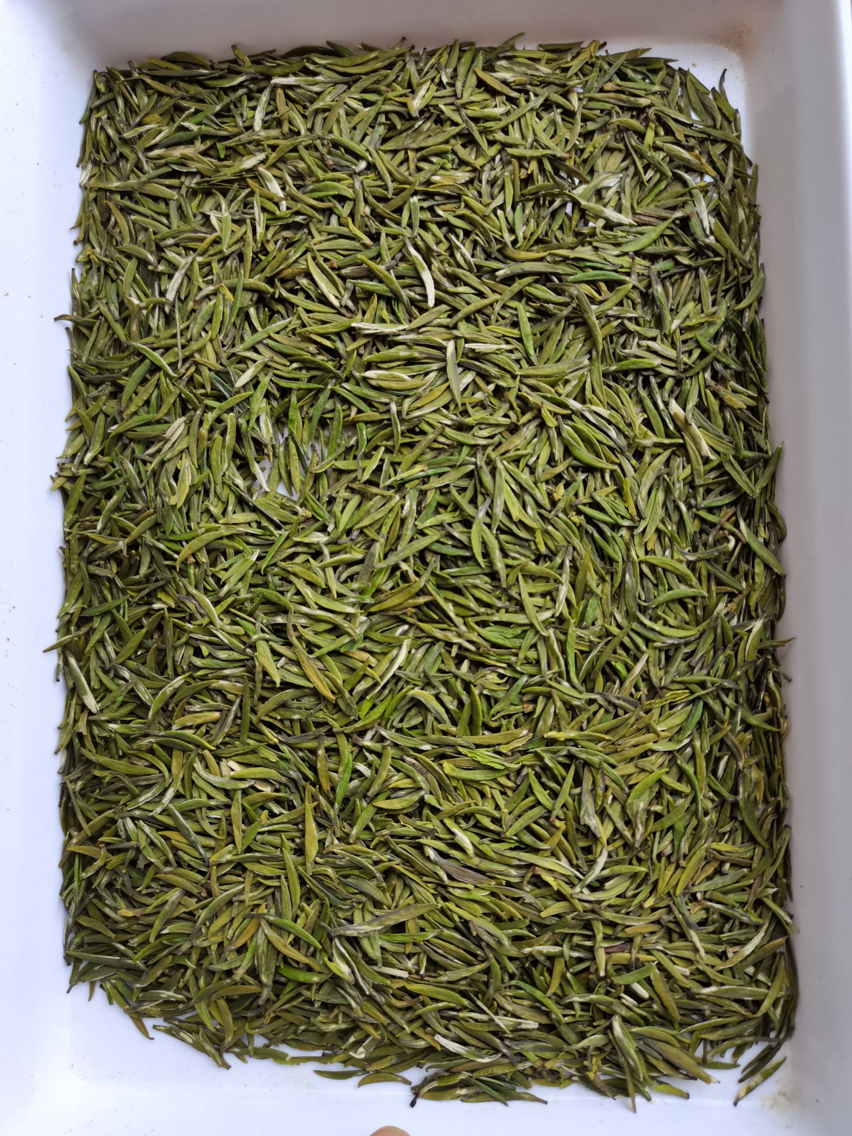绿茶 富硒茶