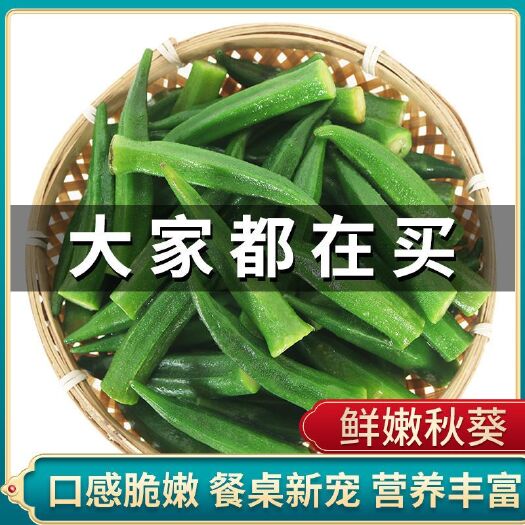 化州市 露天种植，新鲜秋葵，基地直发