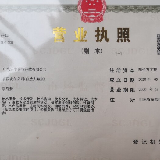 广饶县土鸡苗  1000只红瑶公鸡，1.8斤了出售，十八只
