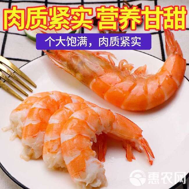 海麻虾  新鲜青岛大虾鲜活冷冻超大青虾特大号海虾大虾
