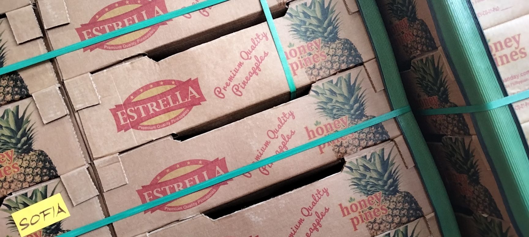 金钻凤梨 菲律宾凤梨大量现货，需要的约起来。吃口甜水分足