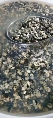沅江市田螺肉工厂现货螺蛳肉