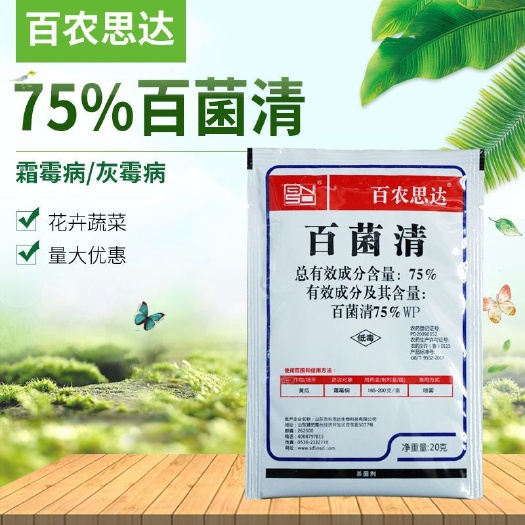 天门市75%百菌清可湿性粉剂花卉多肉蔬菜果树黄瓜霜霉病杀菌剂