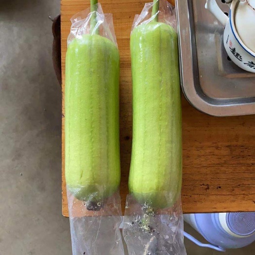 东莞市白玉丝瓜