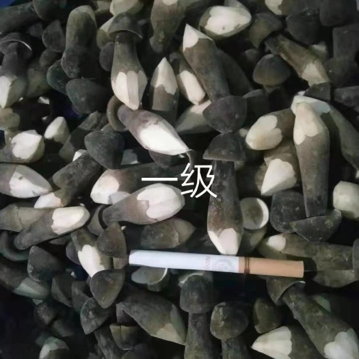菏泽长期出售黑皮鸡枞菌，产地直发，量大质优，1234级