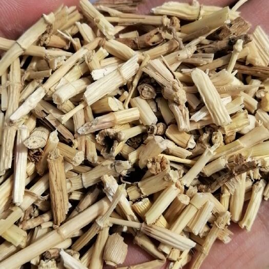 行唐县 白茅根