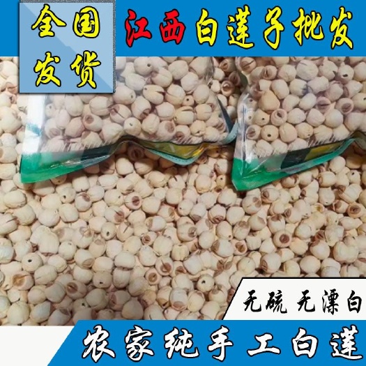 瑞金市正宗江西产地白莲子特级饱满无硫手工干莲子干货批发