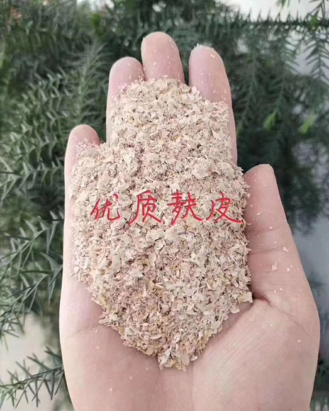 麦麸  优质大片麸皮，混麸，细麸