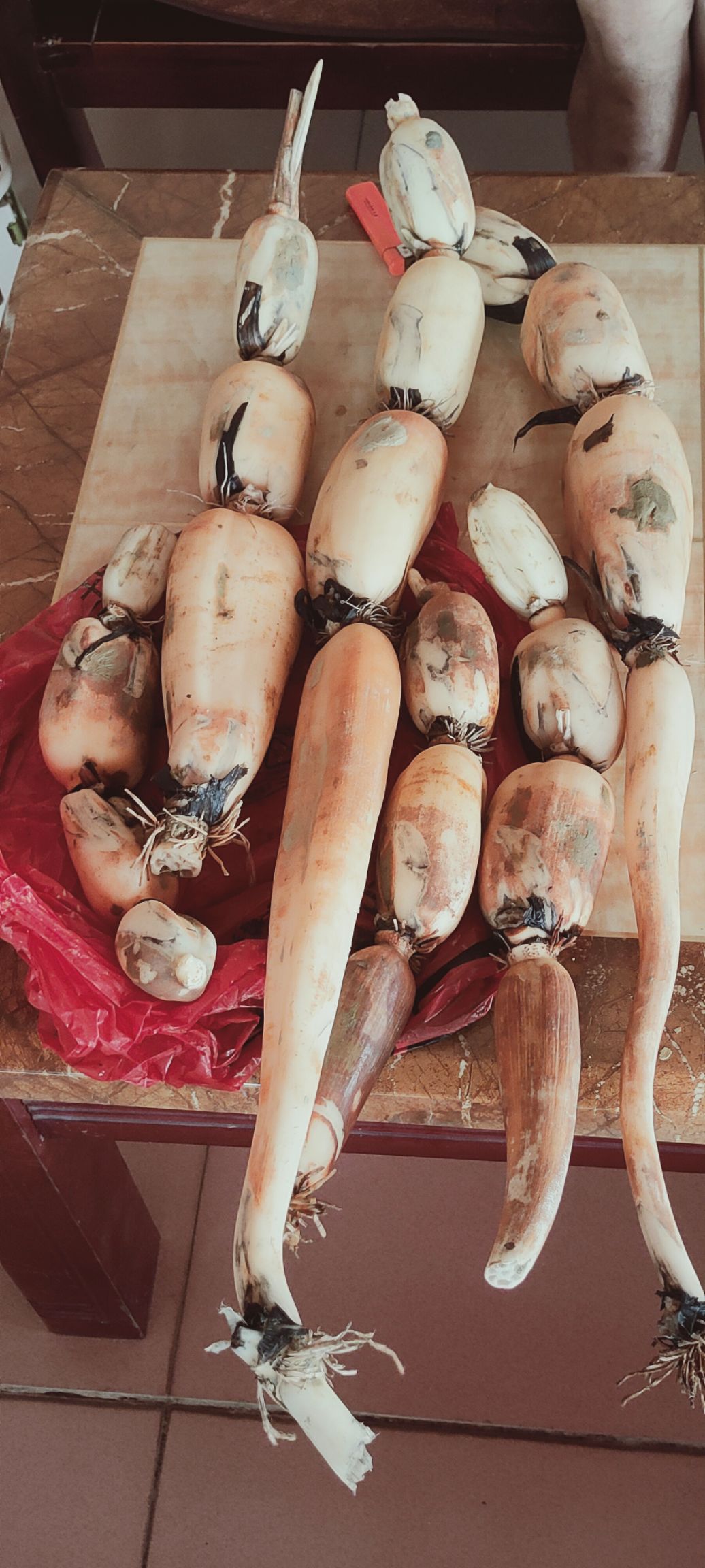 鄂莲6号  新藕上市，5-10 40-50 长期供应，清炒煮汤凉拌都可以