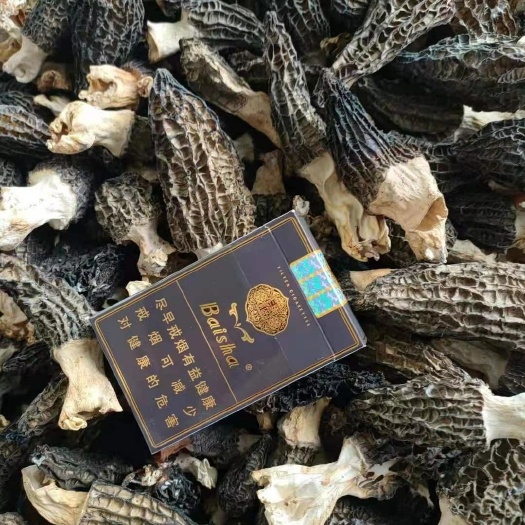 长丰县 蘑菇，干蘑菇，羊肚菌，干品羊肚菌，干蘑菇