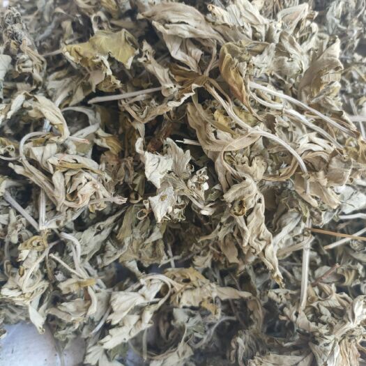 亳州艾叶 纯叶 保证质量问题