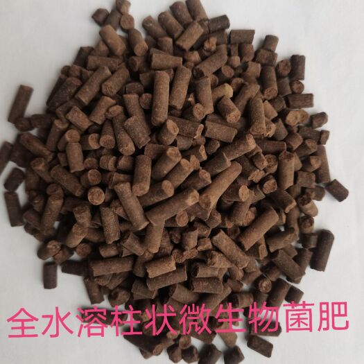 新乐市水溶肥  柱状水溶微生物菌剂