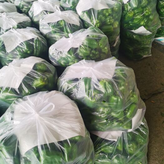 青州市尖椒  辣椒大量供应