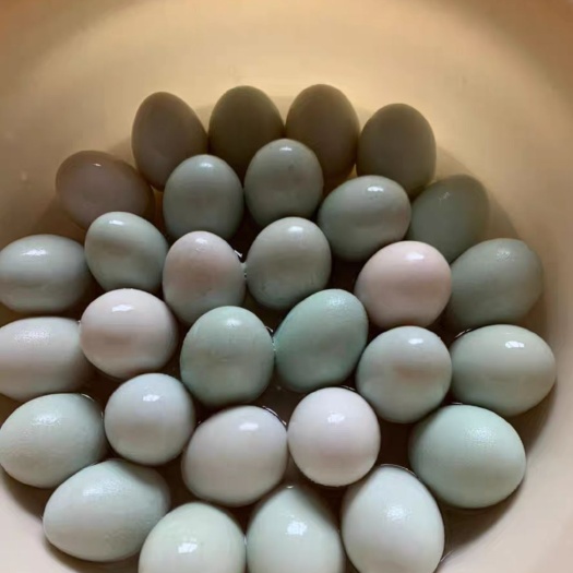 防城港青皮鸭蛋  广西防城港新鲜海鸭蛋，即食海鸭蛋