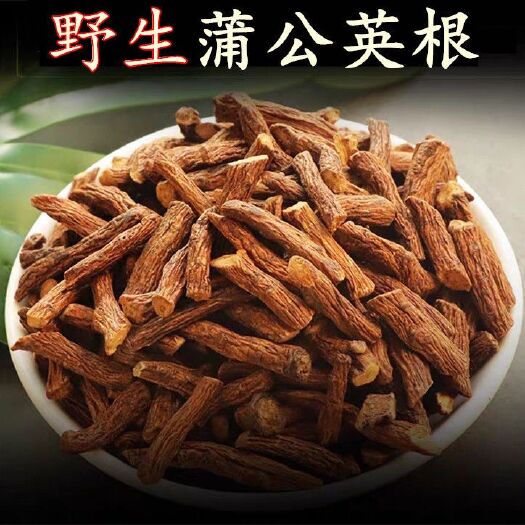 靖宇县蒲公英茶  蒲公英根茶长白山纯野蒲公英根茶婆婆丁根茶炒熟公英根茶优等包邮