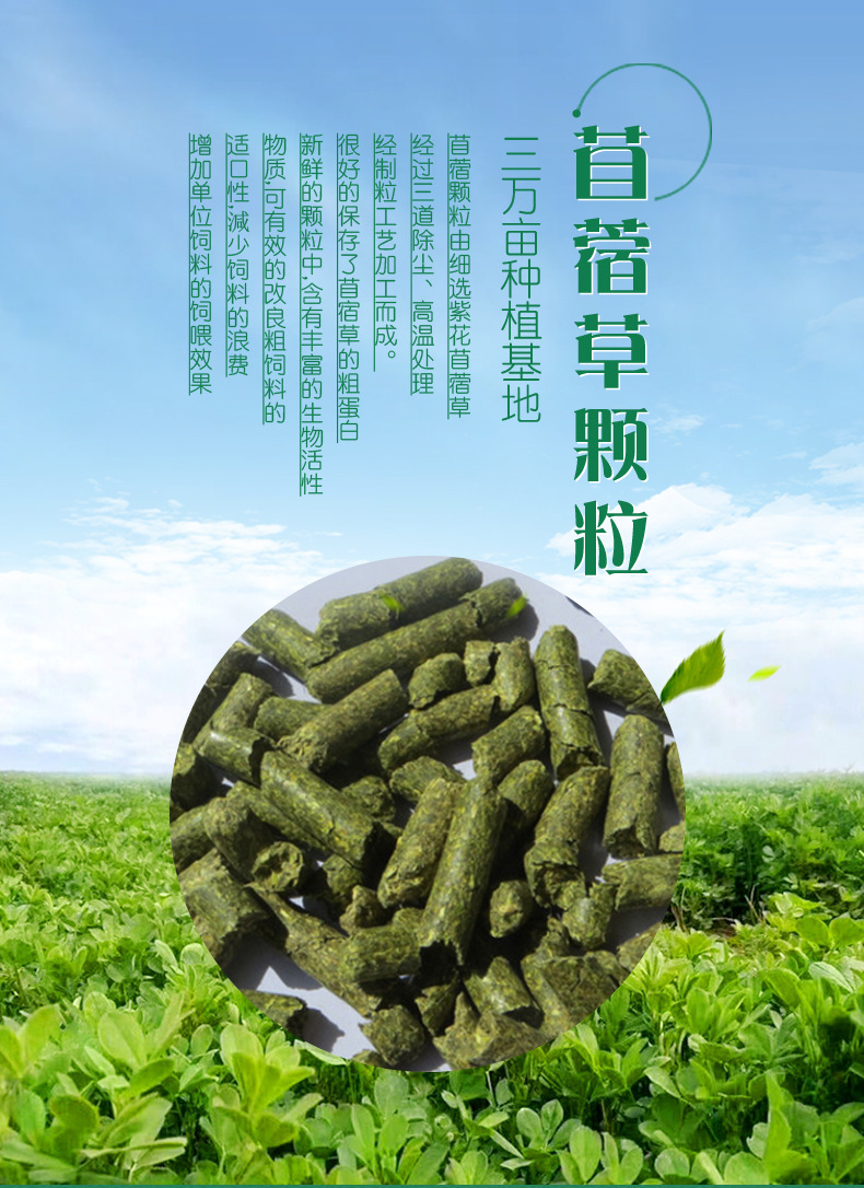 紫花苜蓿草颗粒一级