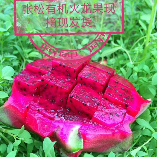 广州新鲜红心火龙果