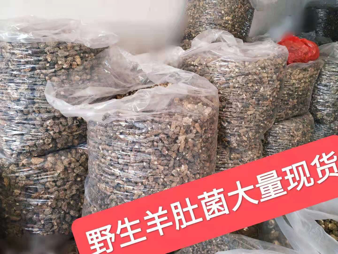 果福得农产品野生羊肚菌无柄新烤味香